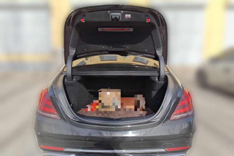 Mercedes-Benz Maybach S Class 2016 car image #21