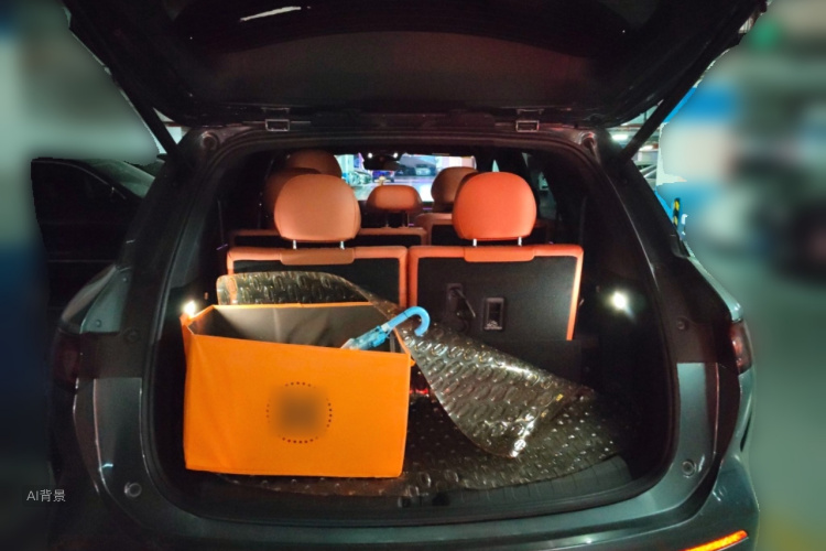 BYD Tang L 2025 car image #21