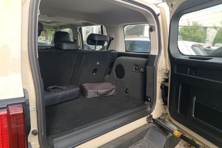 Tank 300 New Energy 2025 car image #21