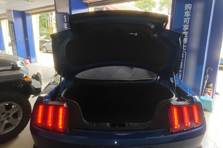 Ford Mustang 2018 car image #21