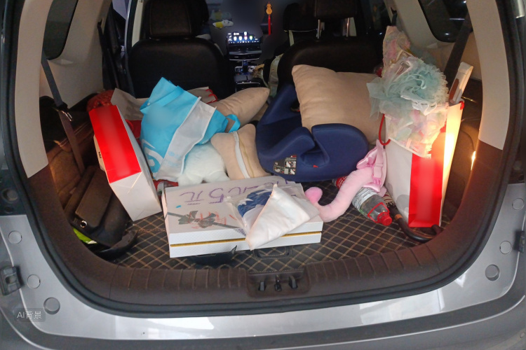 GEELY JiaJi New Energy 2019 car image #21