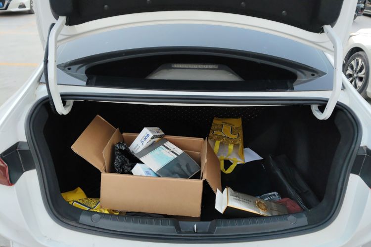 BYD e3 2020 #21 BYD e3 2020 car image #21