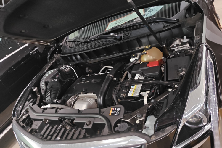 2019 #21 2019 car image #21