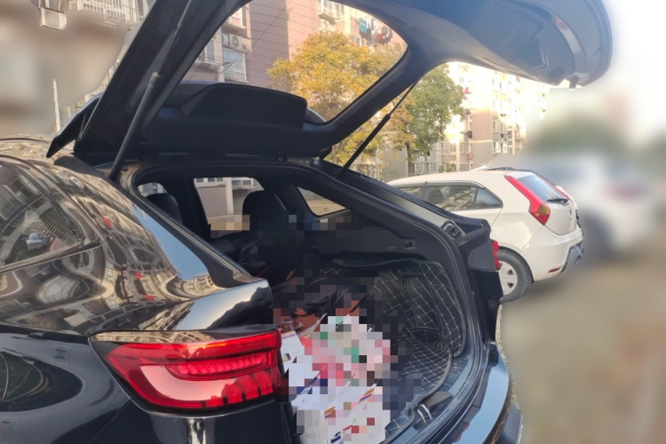 Haval H6S 2022 car image #21