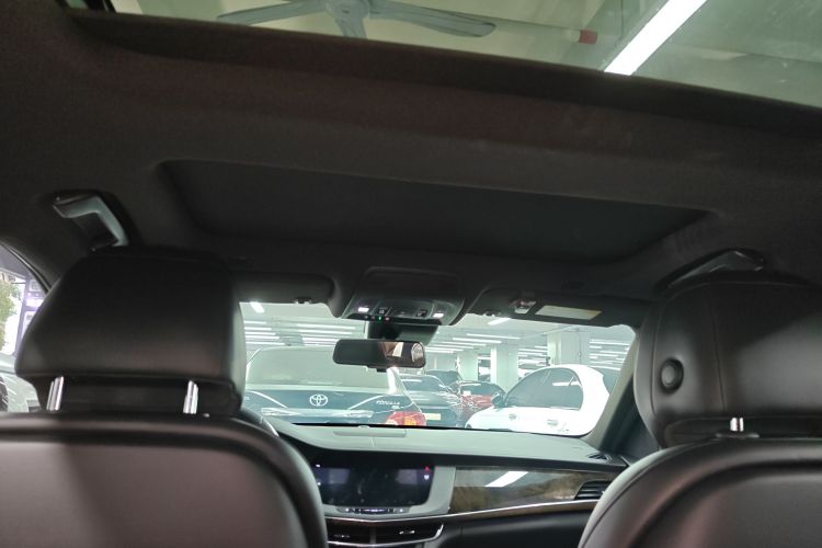 2019 #21 2019 car image #21