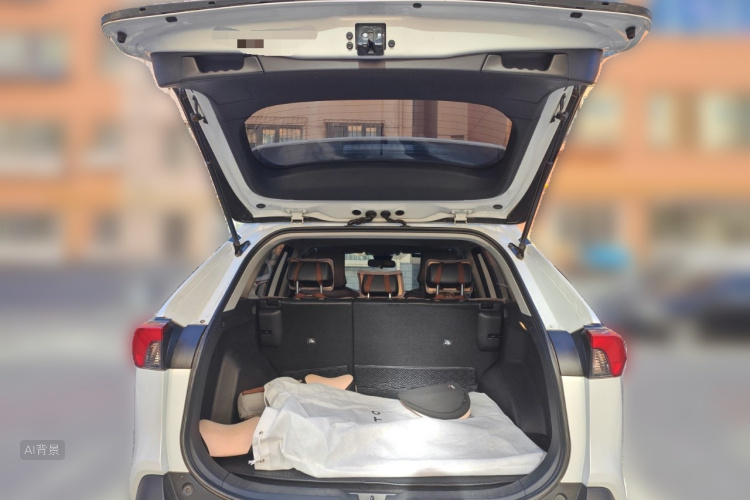 丰田 RAV4荣放 2021 汽车图片 #21