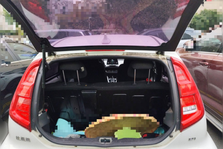 BYD e1 2019 #21 BYD e1 2019 car image #21