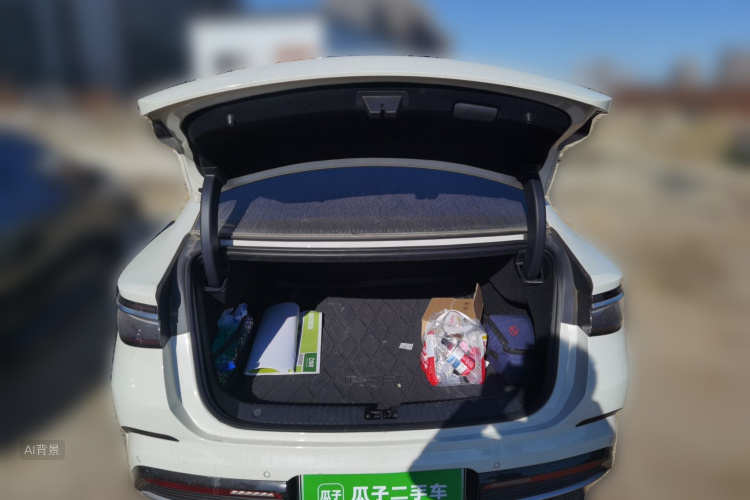 BYD Seal 07 DM-i 2024 car image #21