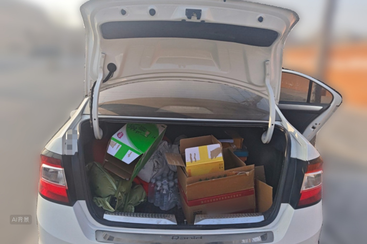 Skoda Rapid 2018 car image #21