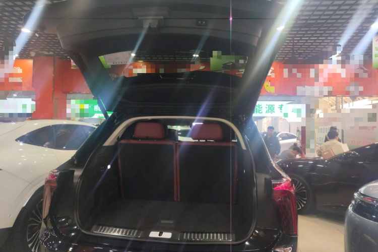 HongQi E-HS9 2021 immagine di auto #21