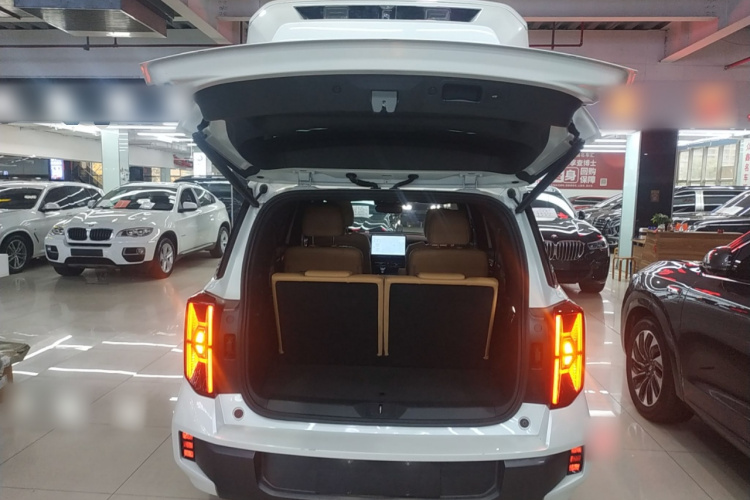 GAC Trumpchi ES9 2023 #21 GAC Trumpchi ES9 2023 car image #21