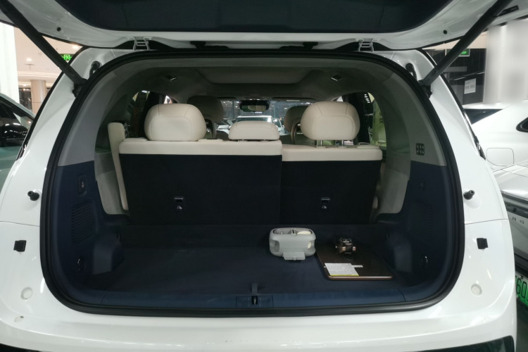 极氪 极氪MIX 2024 汽车图片 #21