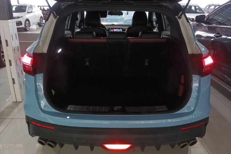 GEELY Coolray 2020 imagen de coche #21