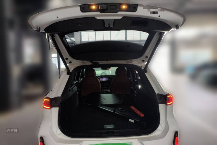 Exceed Lingyun 2024 صورة سيارة #21