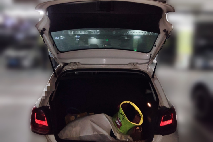Polo 2016 car image #21
