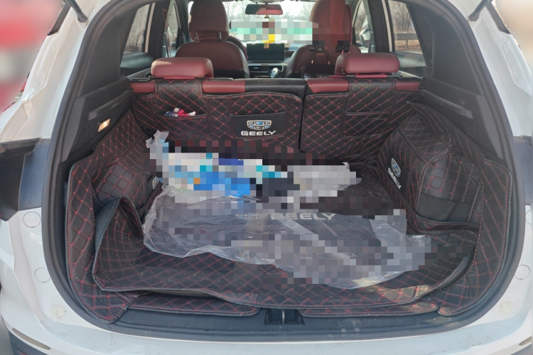 GEELY Coolray New Energy 2022 car image #21