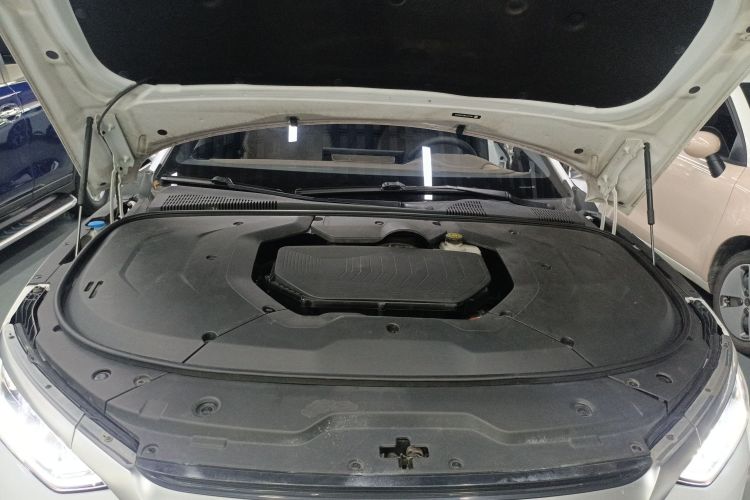 BYD Han 2021 car image #21