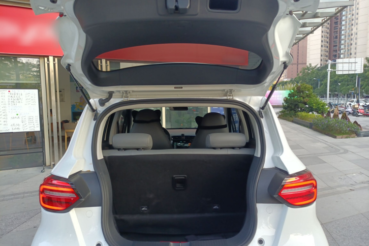 零跑汽车 零跑T03 2024 汽车图片 #21