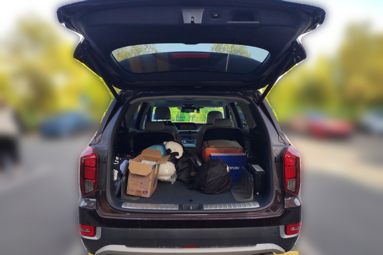 Hyundai Palisade 2020 car image #21