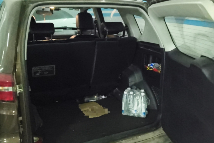 Kaiyi X3 2017 car image #21