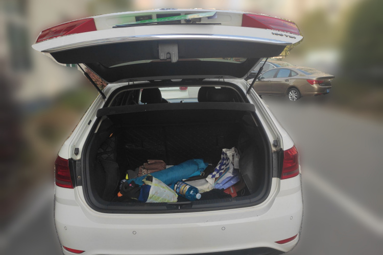 Volkswagen Gran Lavida 2017 immagine di auto #21