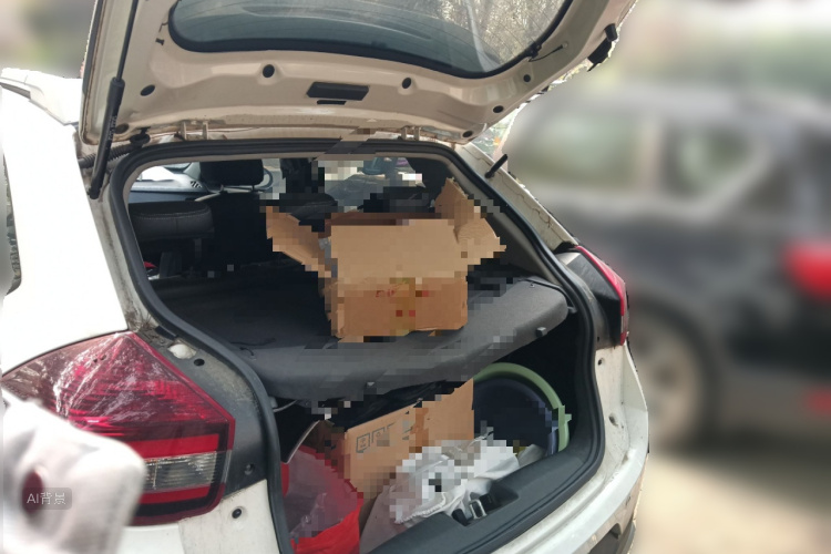 Tiggo 3x 2021 car image #21