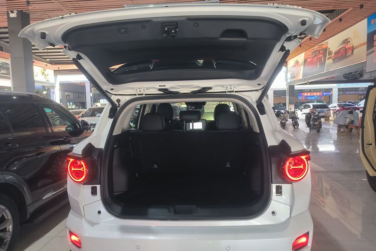 Haval Dargo 2 2023 صورة سيارة #21