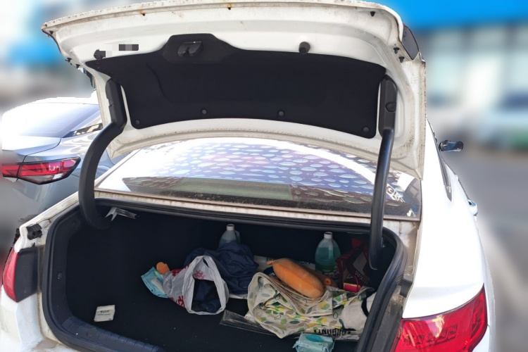 Emgrand GL 2019 #21 Emgrand GL 2019 car image #21