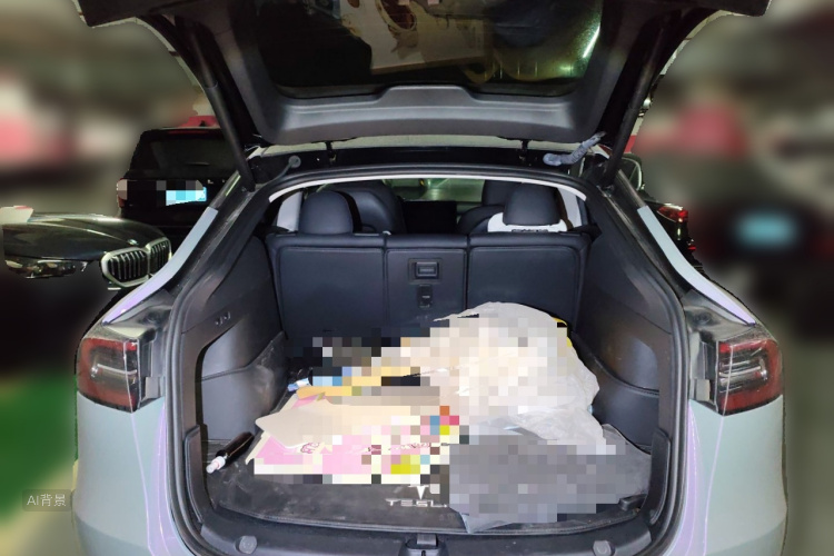 Tesla Model Y 2023 car image #21