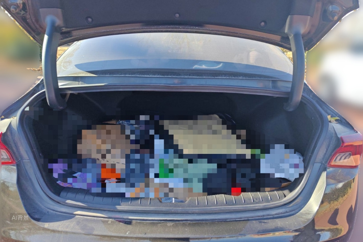 Kia K5 2021 car image #21