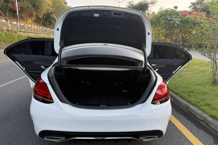 Mercedes-Benz C Class 2020 car image #21