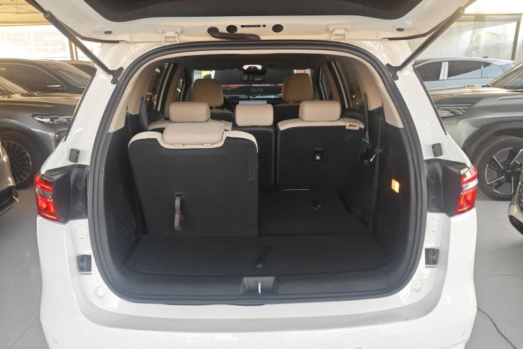 BYD Song MAX New Energy 2023 immagine di auto #21