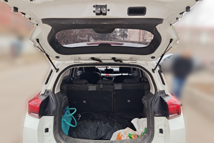 Beijing X3 2019 immagine di auto #21