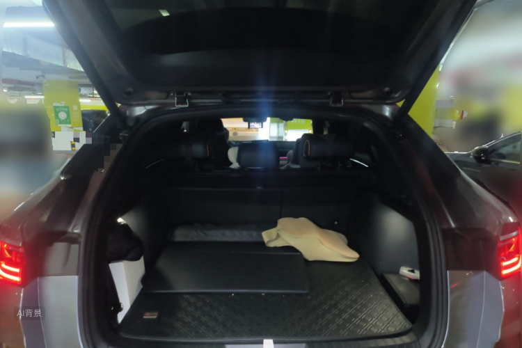 BYD Song Plus New Energy 2022 immagine di auto #21