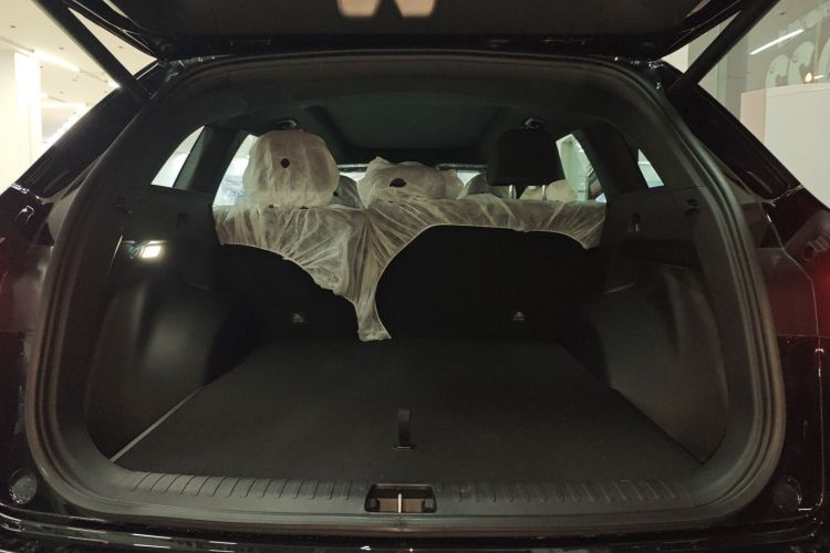 GEELY Monjaro 2025 car image #21