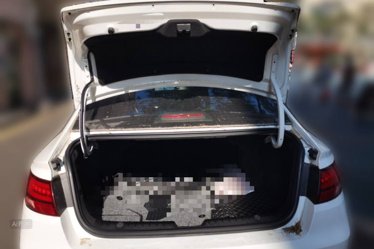 GEELY Emgrand GL 2021 car image #21