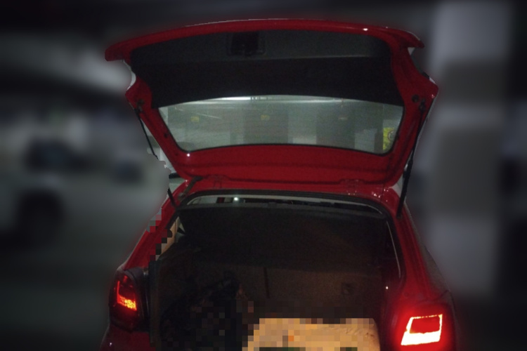 Polo 2016 immagine di auto #21