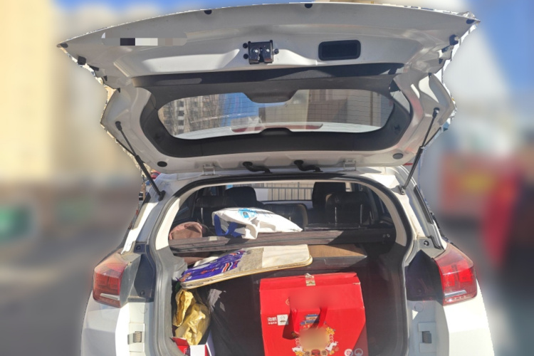 Beijing X3 2020 imagem de carro #21