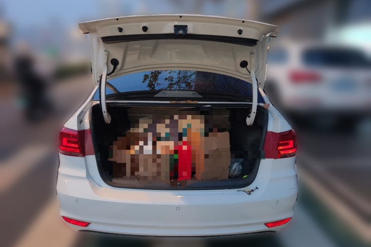 桑塔纳 2019 汽车图片 #21