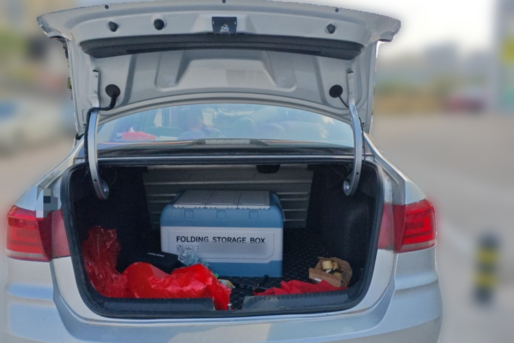 Santana 2021 car image #21