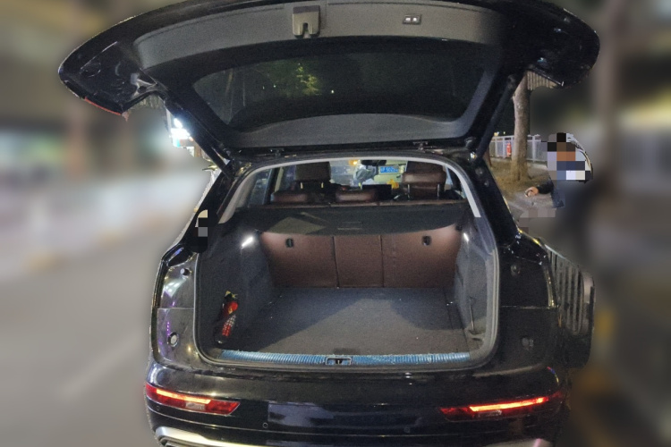 Audi Q5L 2021 car image #21