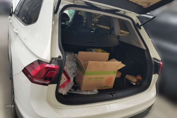 Volkswagen Tiguan L 2019 #21 Volkswagen Tiguan L 2019 car image #21