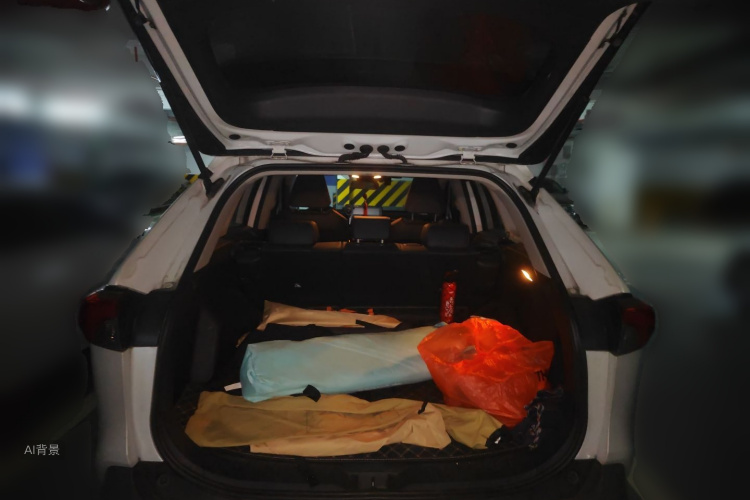 Toyota RAV4 Hybird E+ 2021 immagine di auto #21