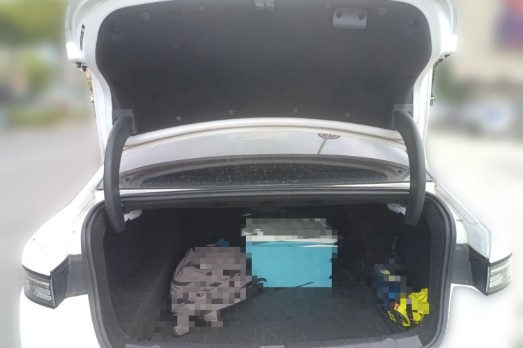BYD Destroyer 05 2024 car image #21