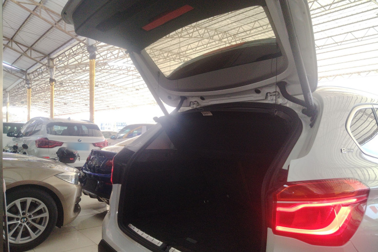 BMW X1 New Energy 2018 car image #21