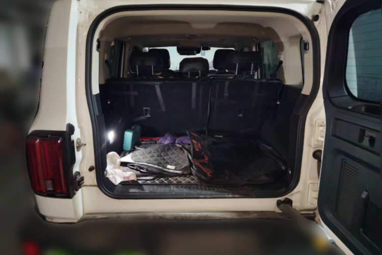 Tank 300 2021 #21 Tank 300 2021 car image #21