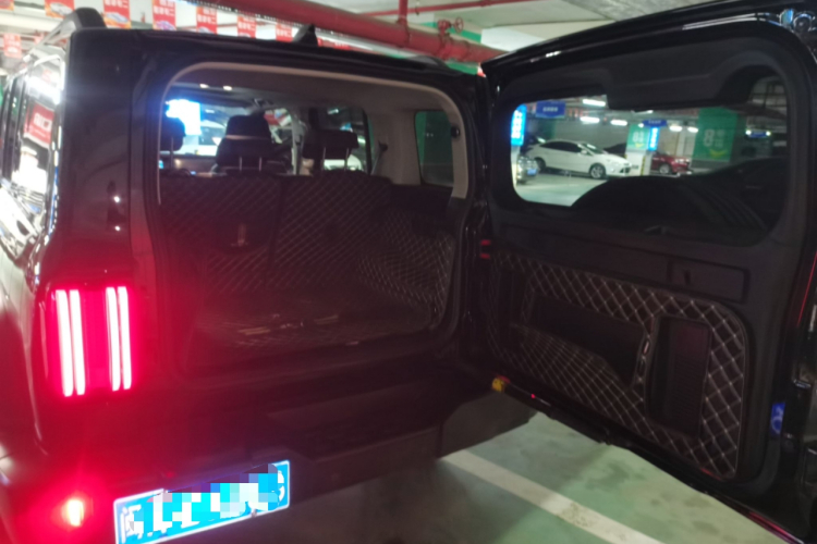 Tank 300 2021 #21 Tank 300 2021 car image #21