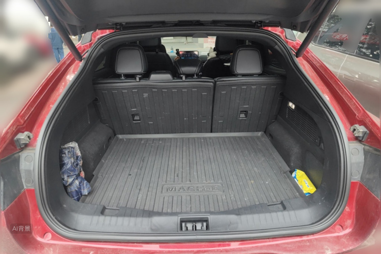 Ford Mustang Mach-E 2024 car image #21