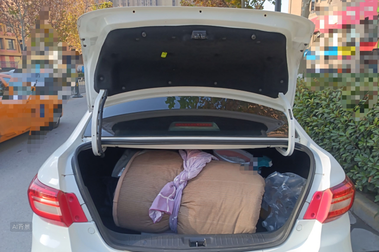 Forthing JOYEAR S50 2018 immagine di auto #21