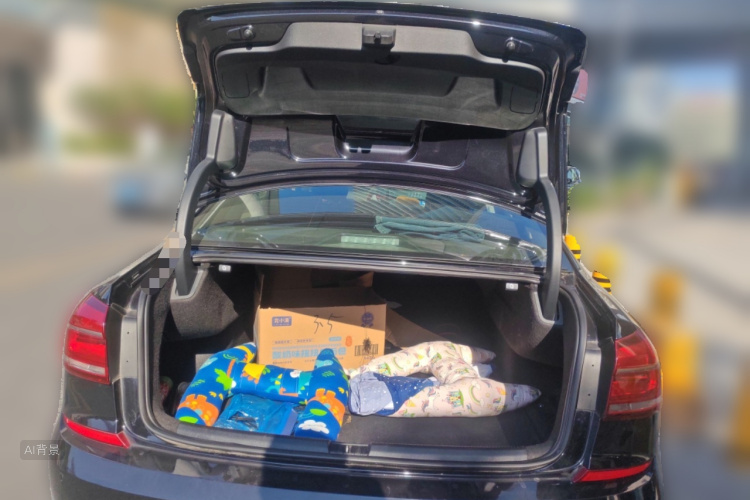 大众 帕萨特 2018 汽车图片 #21